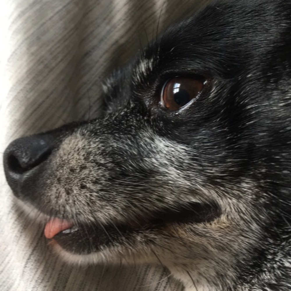 Meet your Posher, Diane